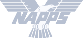 NAPPS - National Association of Professional Process Servers
